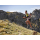 Suunto RACE 3S TITANIUM BLACK - 1582504 - zdjęcie 18